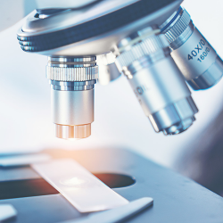 PATHOLOGY Treatement in Magarpatta